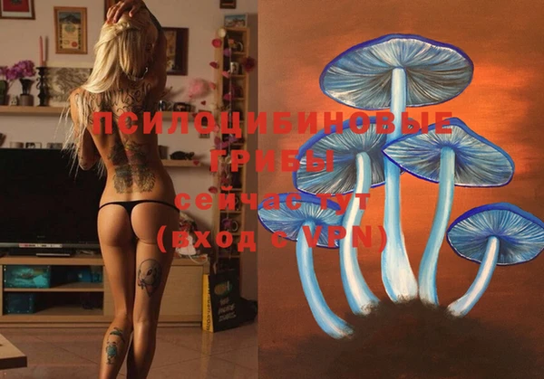 каннабис Няндома