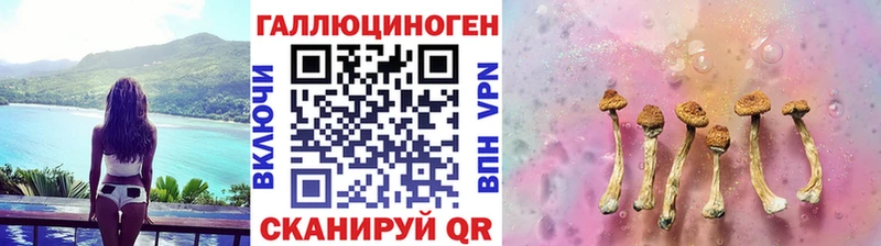 Галлюциногенные грибы Psilocybine cubensis Владивосток